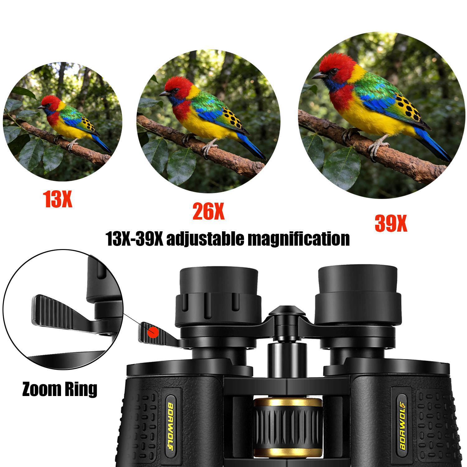 BORWOLF 13-39X70 ED Lornetka m – National Geographic Telescope 70Mm recenzja i cena