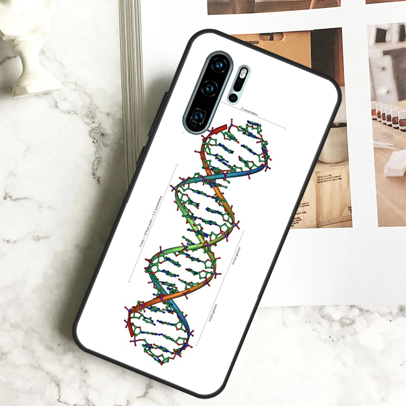 Etui Science DNA Biology na Hu – Science Nova recenzja i cena